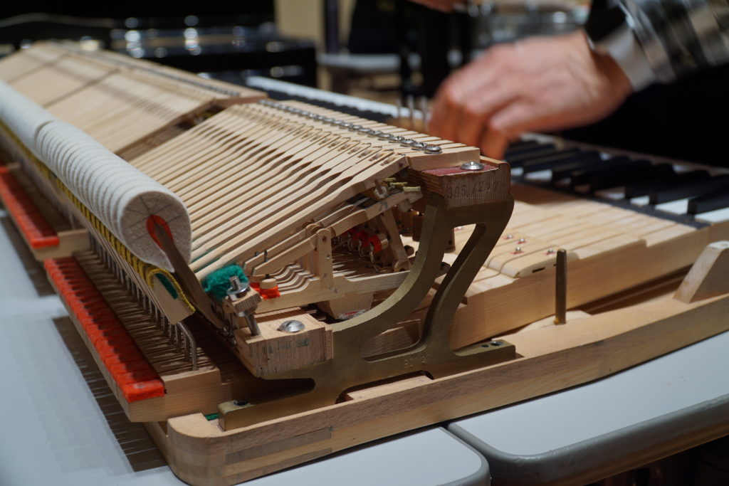 保守点検 ーFAZIOLIを世代を超えて引き継ぐために dsc00054